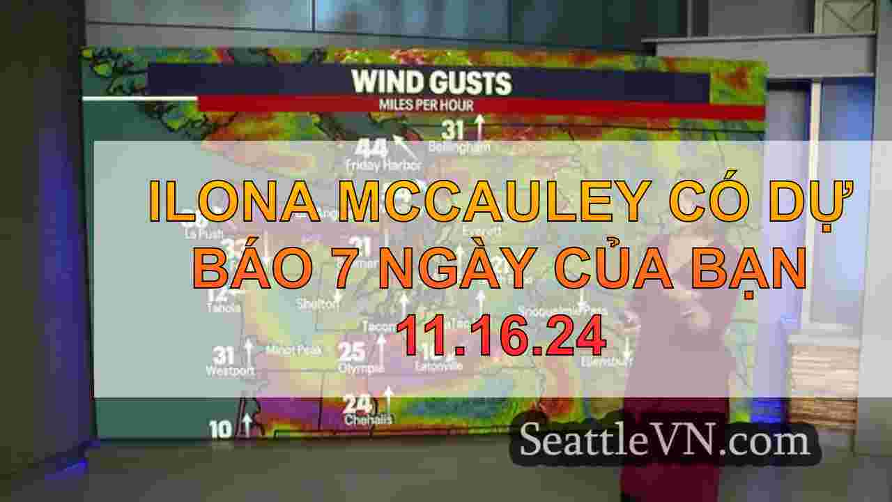 tin tức seattle SeattleVN