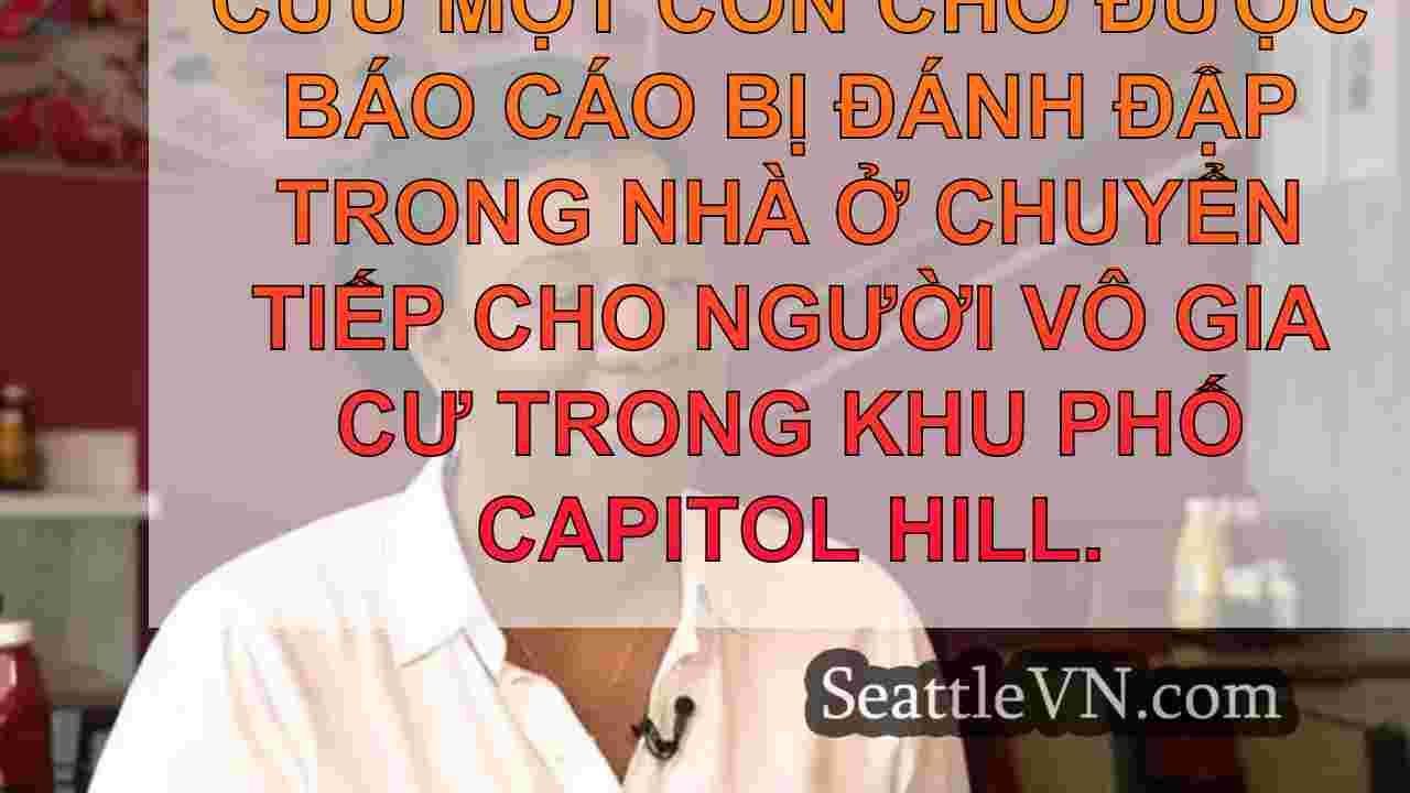 tin tức seattle SeattleVN