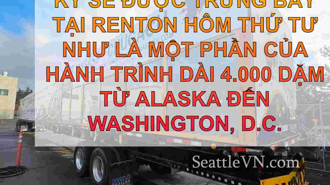 Cây Giáng sinh của Hoa Kỳ để ghé thăm
