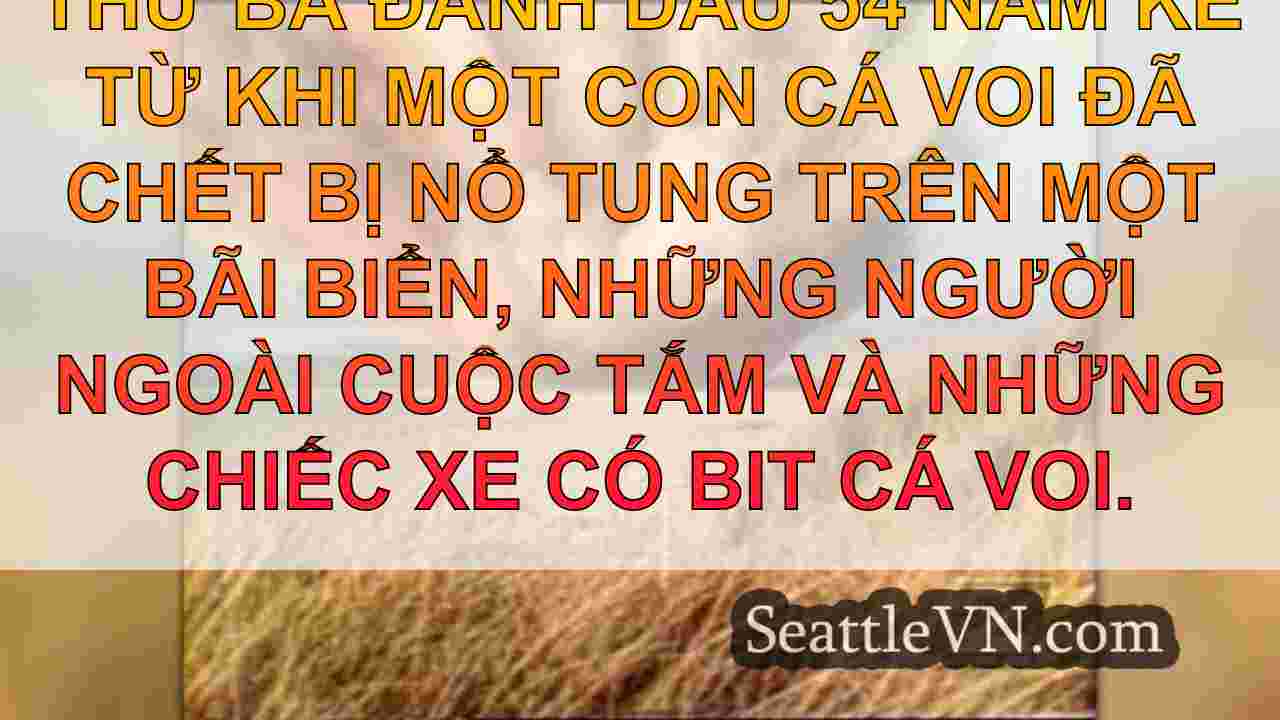 tin tức seattle SeattleVN