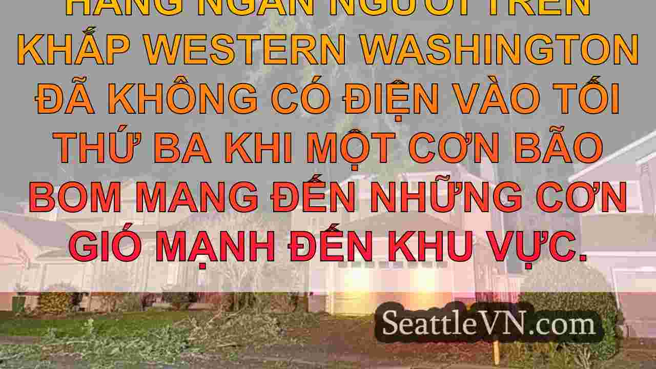 tin tức seattle SeattleVN
