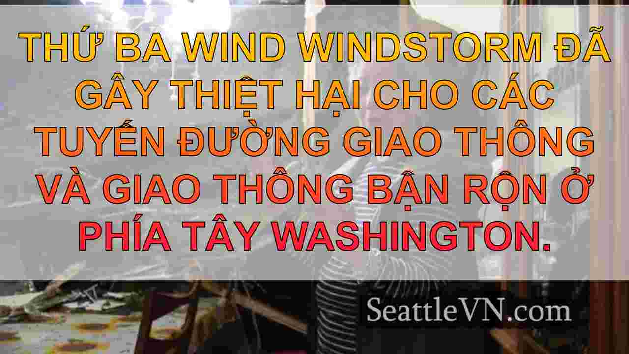 Người phụ nữ Bellevue bị thương bởi cây