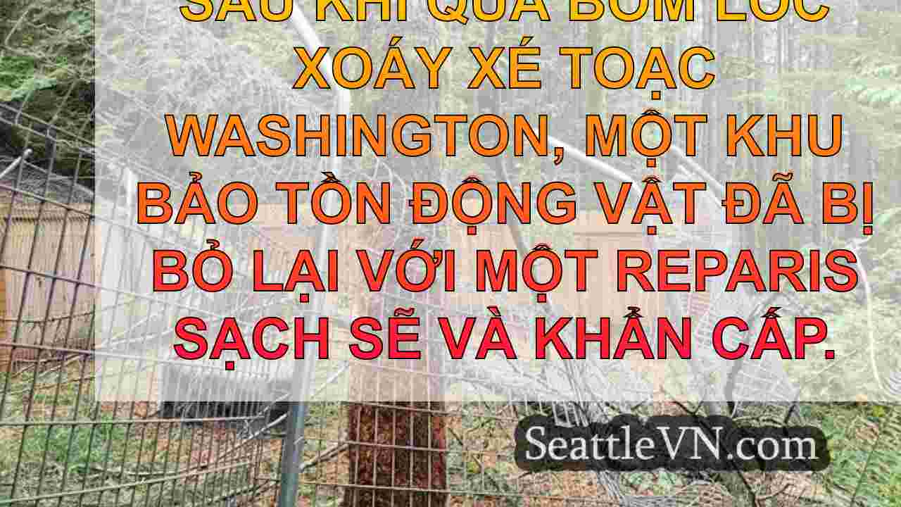 tin tức seattle SeattleVN