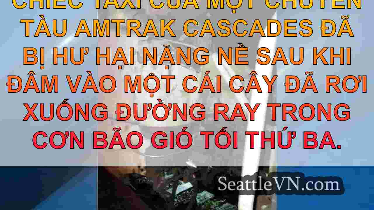 tin tức seattle SeattleVN