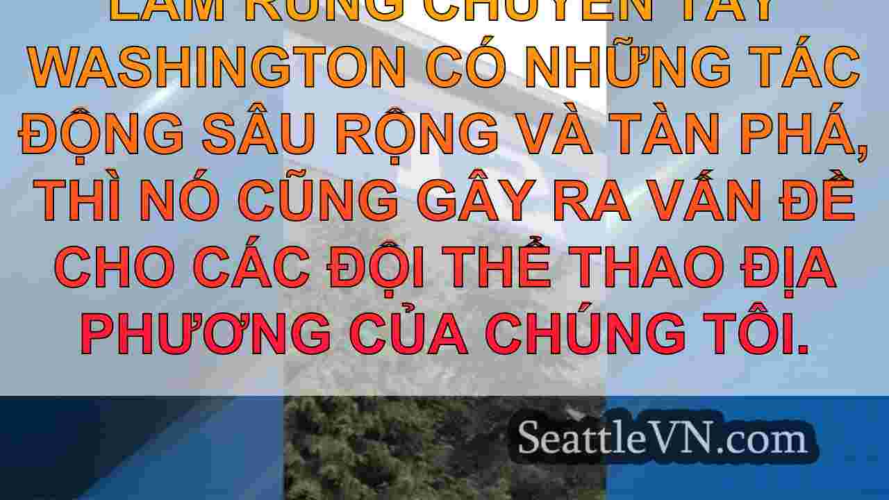 Seahawks thích nghi với những thách