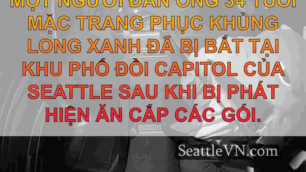 tin tức seattle SeattleVN