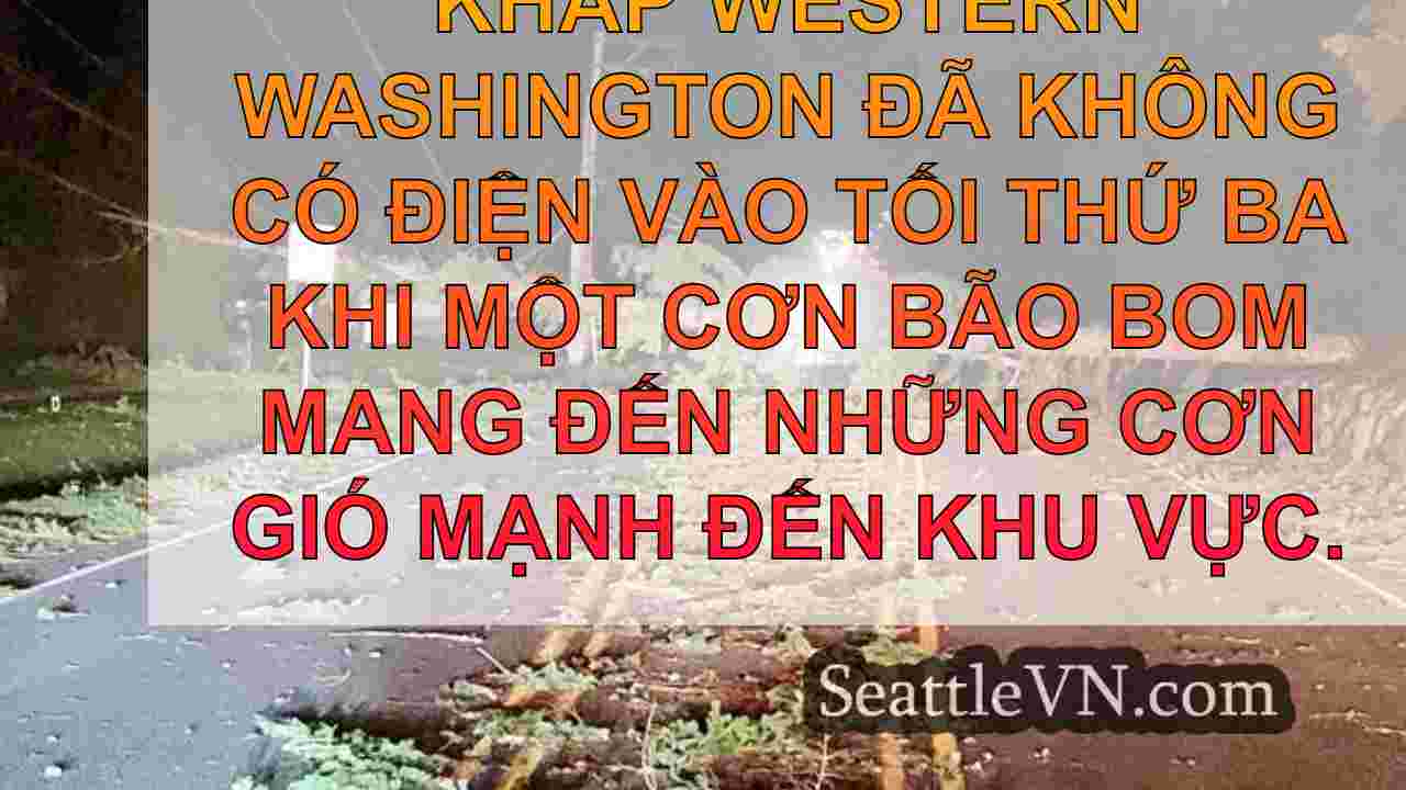 tin tức seattle SeattleVN