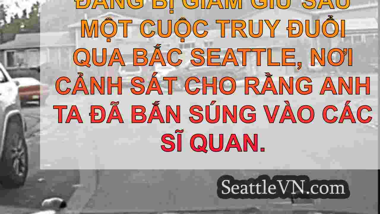 tin tức seattle SeattleVN