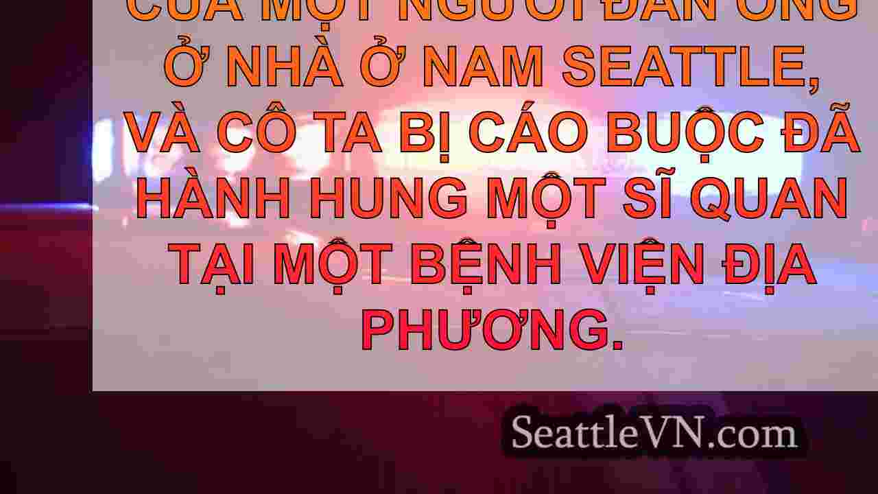 Người phụ nữ bị buộc tội của South
