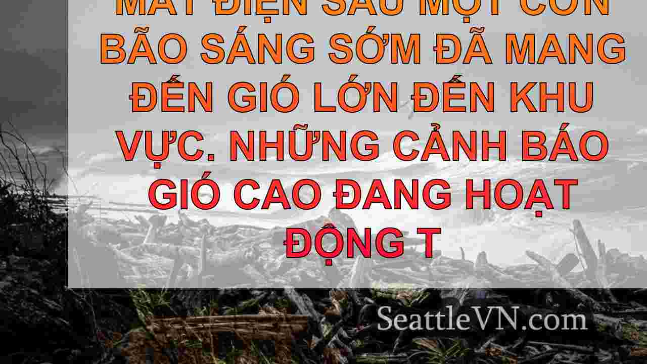 Gió lớn dẫn đến mất điện lan rộng ở