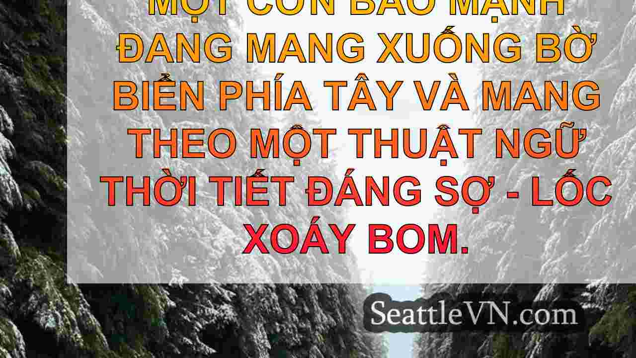 tin tức seattle SeattleVN