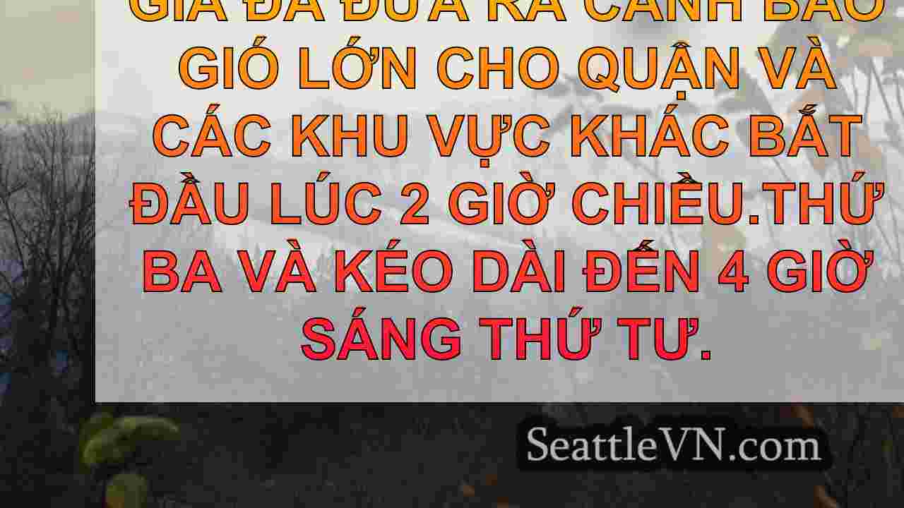 tin tức seattle SeattleVN