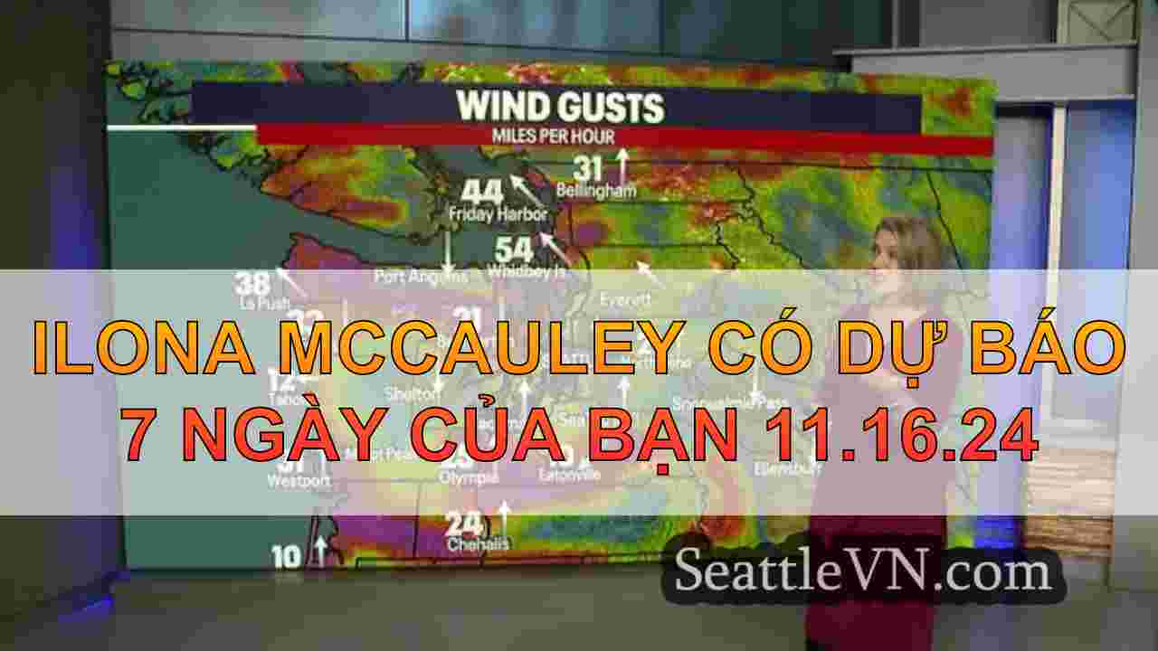 tin tức seattle SeattleVN