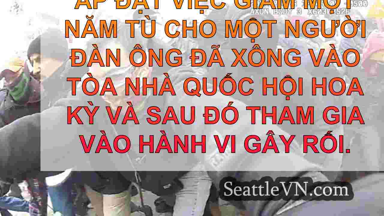 Capitol Rioter án giảm do thẩm phán