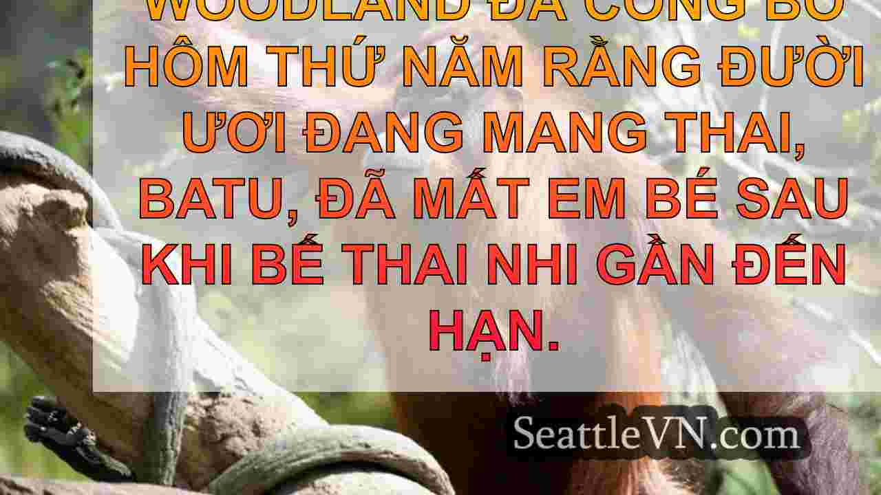 Sở thú Công viên Woodland thương tiếc