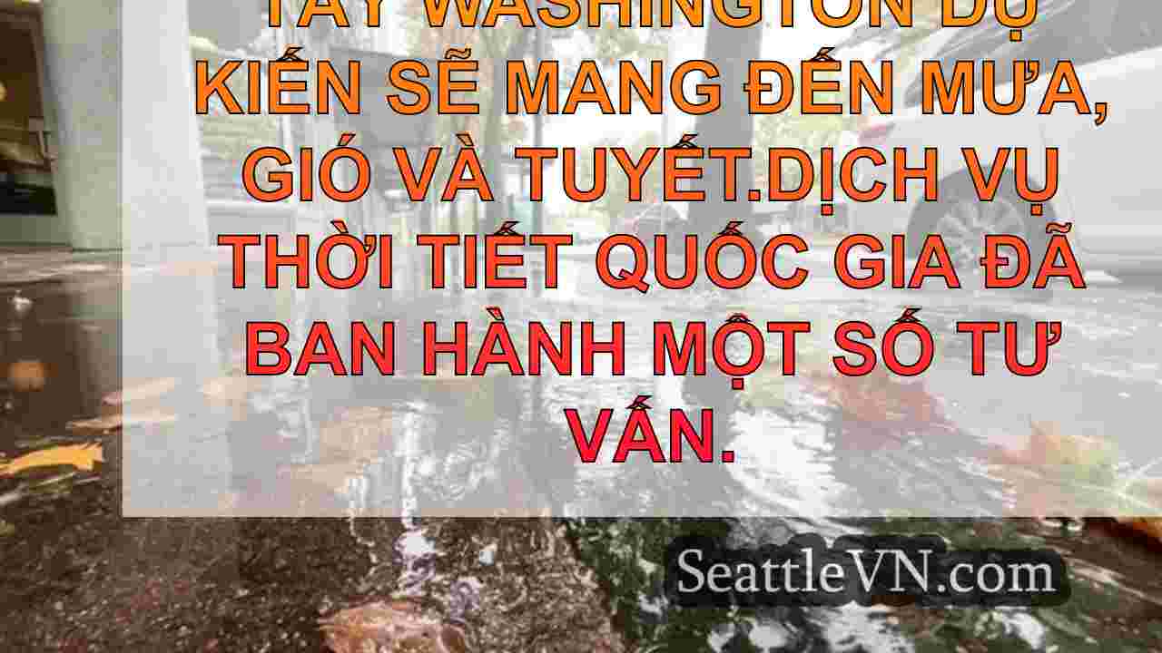tin tức seattle SeattleVN