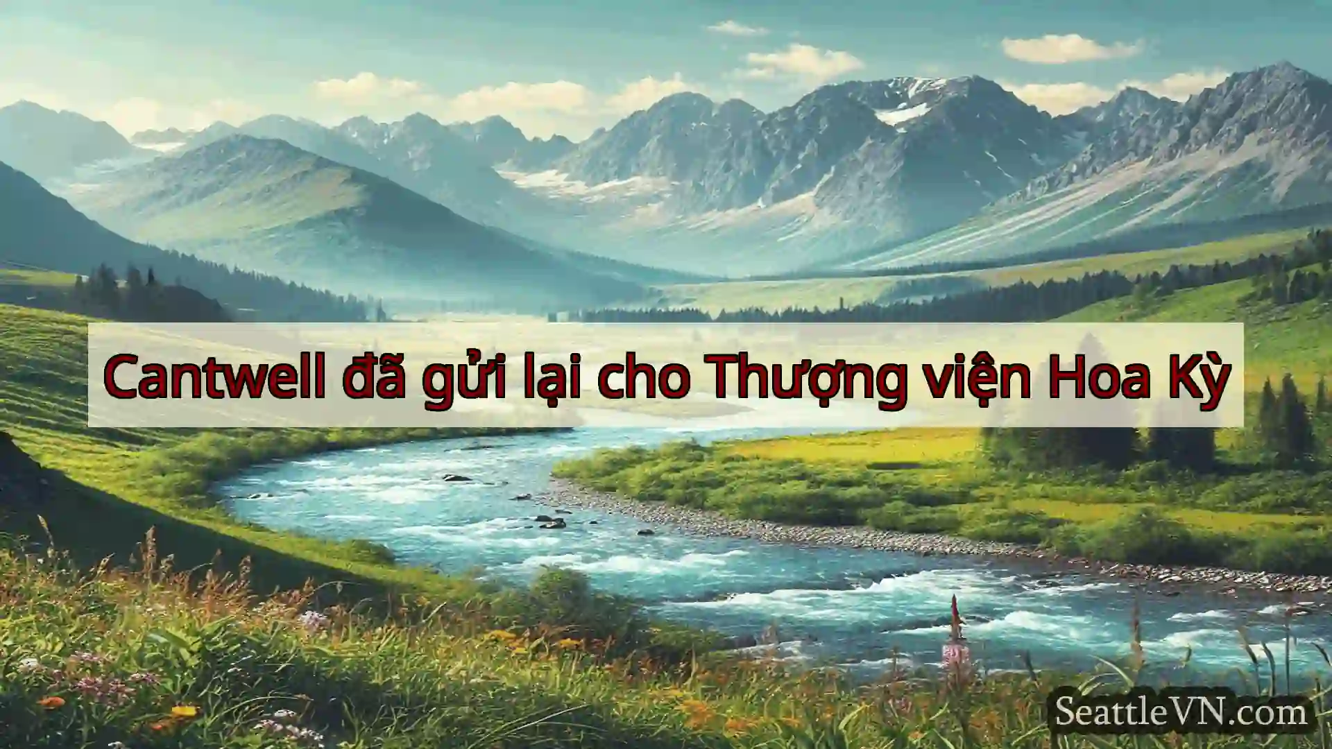 tin tức seattle Cantwell đã gửi lại cho Thượng