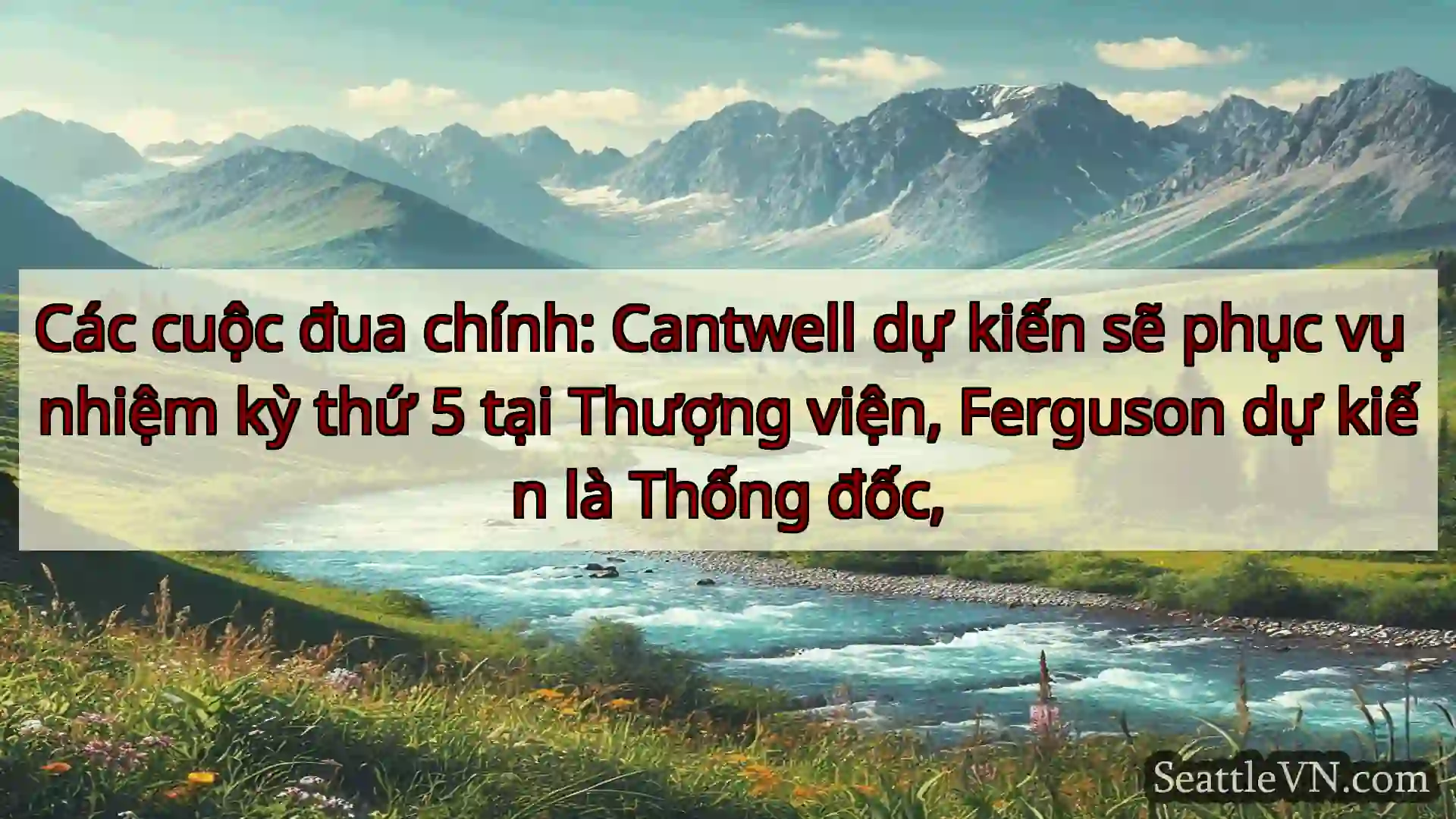 tin tức seattle Các cuộc đua chính: Cantwell dự