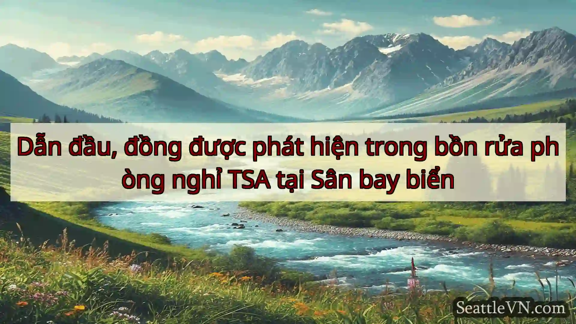 tin tức seattle Dẫn đầu, đồng được phát hiện trong