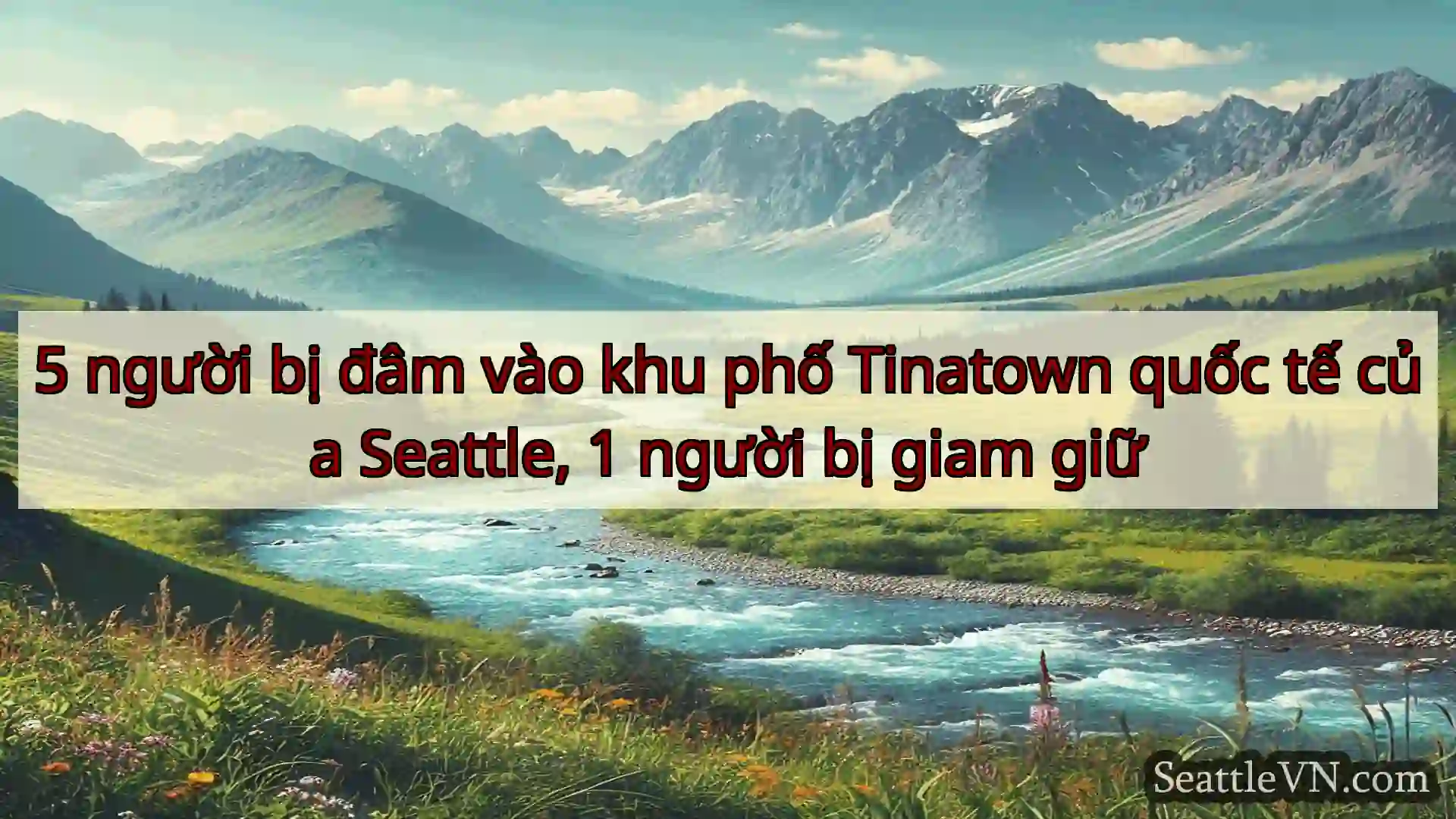 tin tức seattle 5 người bị đâm vào khu phố