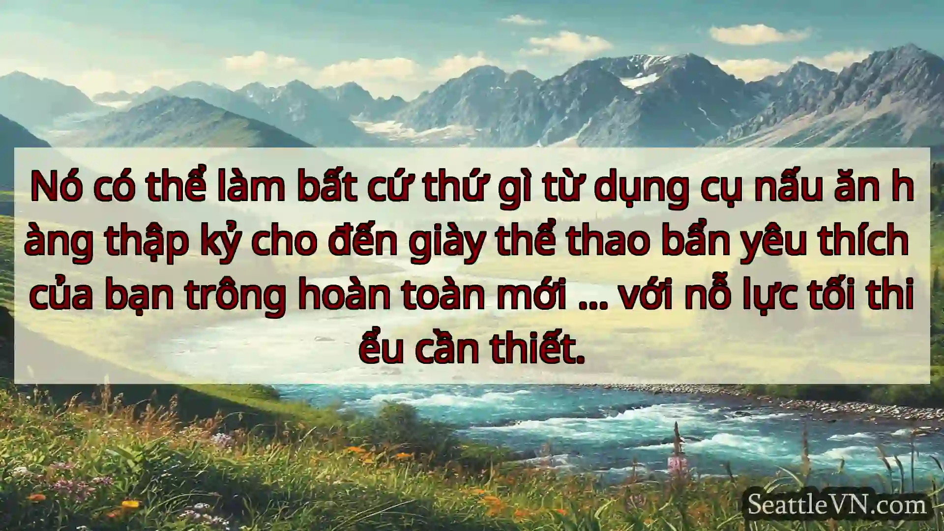 tin tức seattle Nó có thể làm bất cứ thứ gì từ