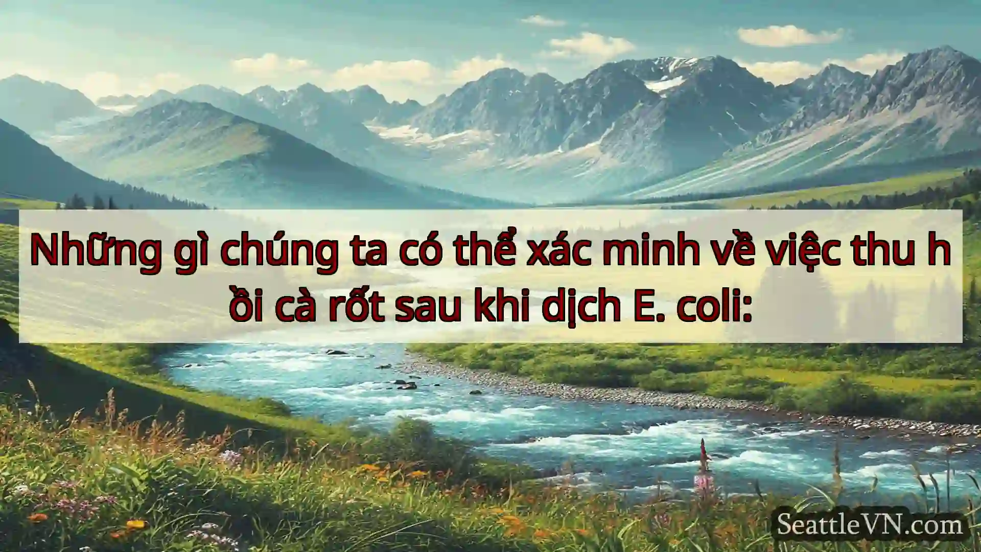 tin tức seattle Những gì chúng ta có thể xác minh