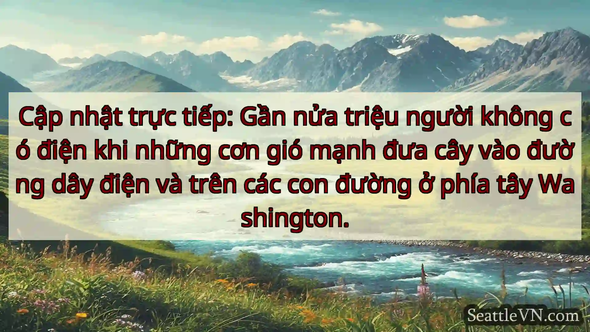 tin tức seattle Cập nhật trực tiếp: Gần nửa triệu