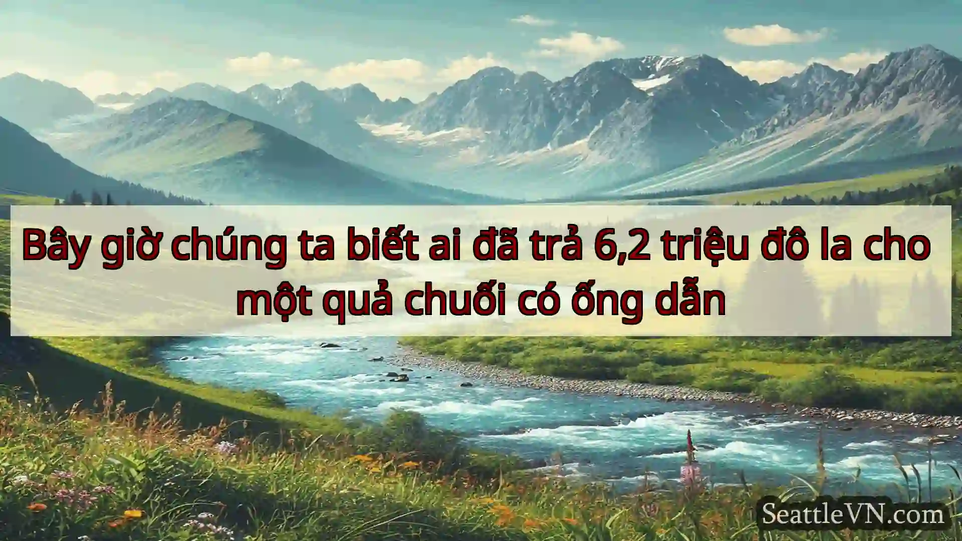 tin tức seattle Bây giờ chúng ta biết ai đã trả
