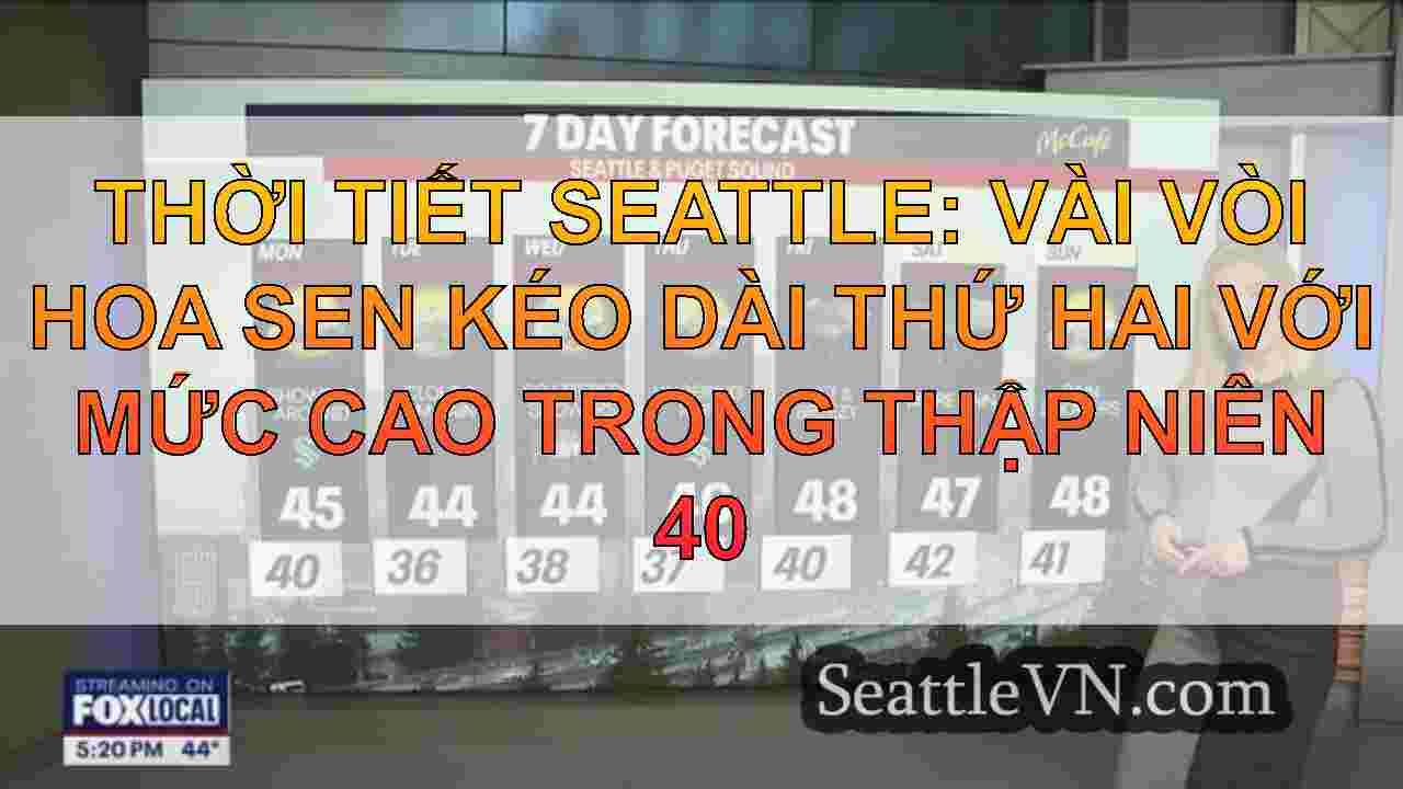 Thời tiết Seattle: Vài vòi hoa sen kéo