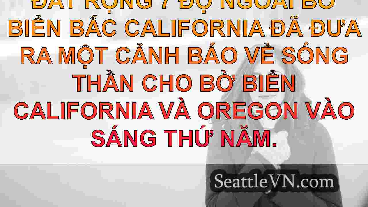 tin tức seattle SeattleVN