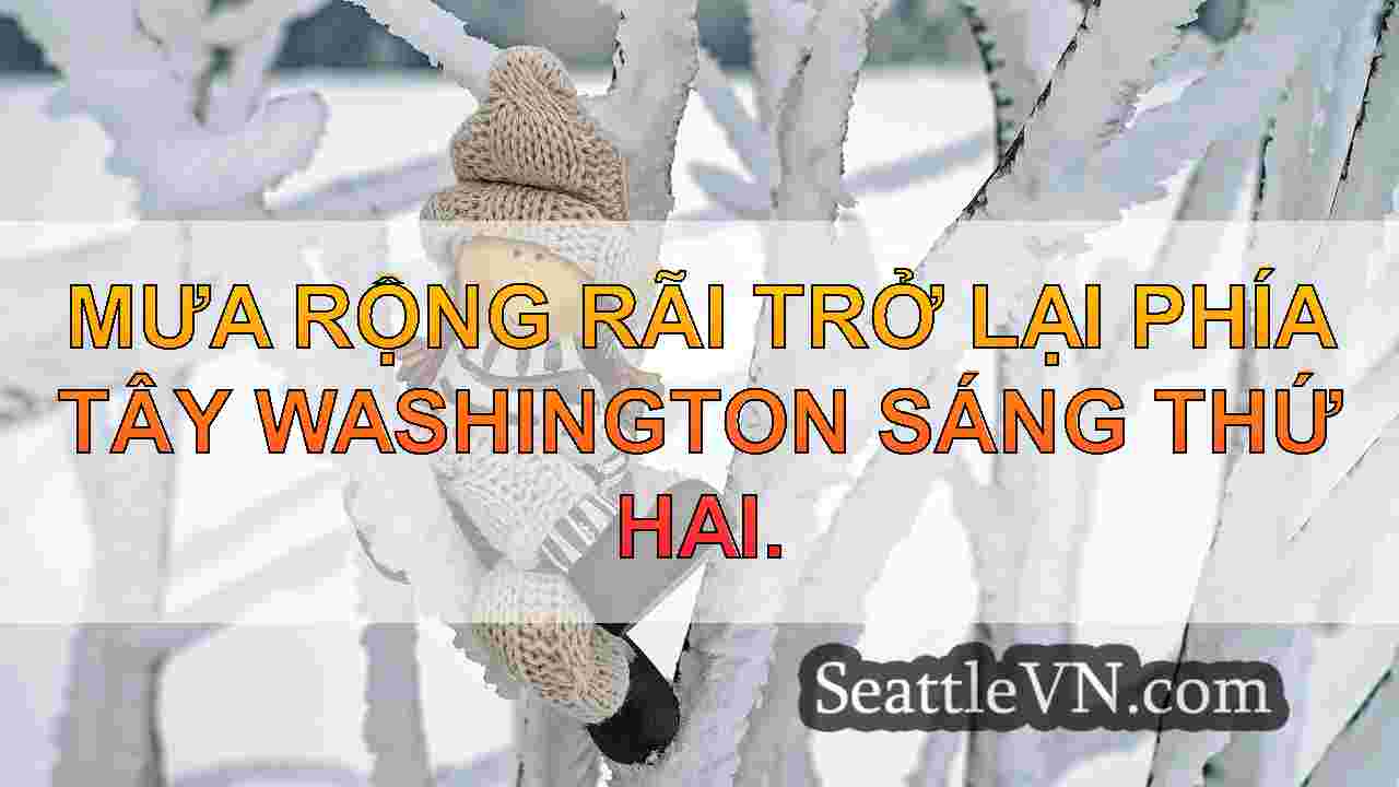 tin tức seattle SeattleVN