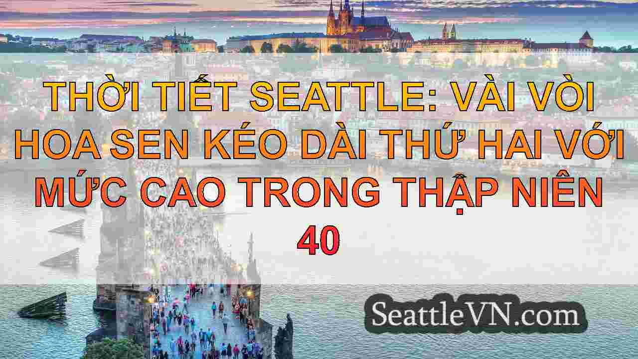 tin tức seattle SeattleVN