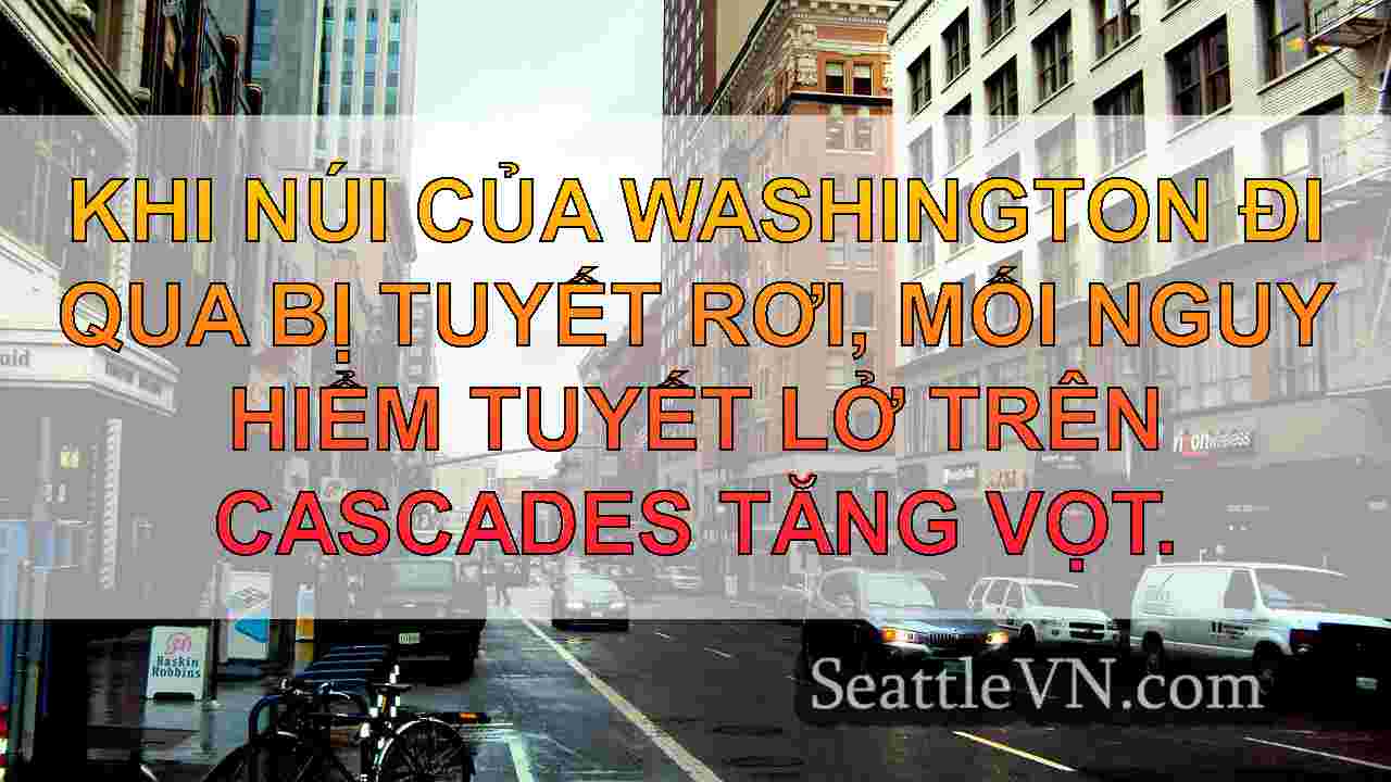 Các trung tâm tuyết lở thiếu hụt của WA