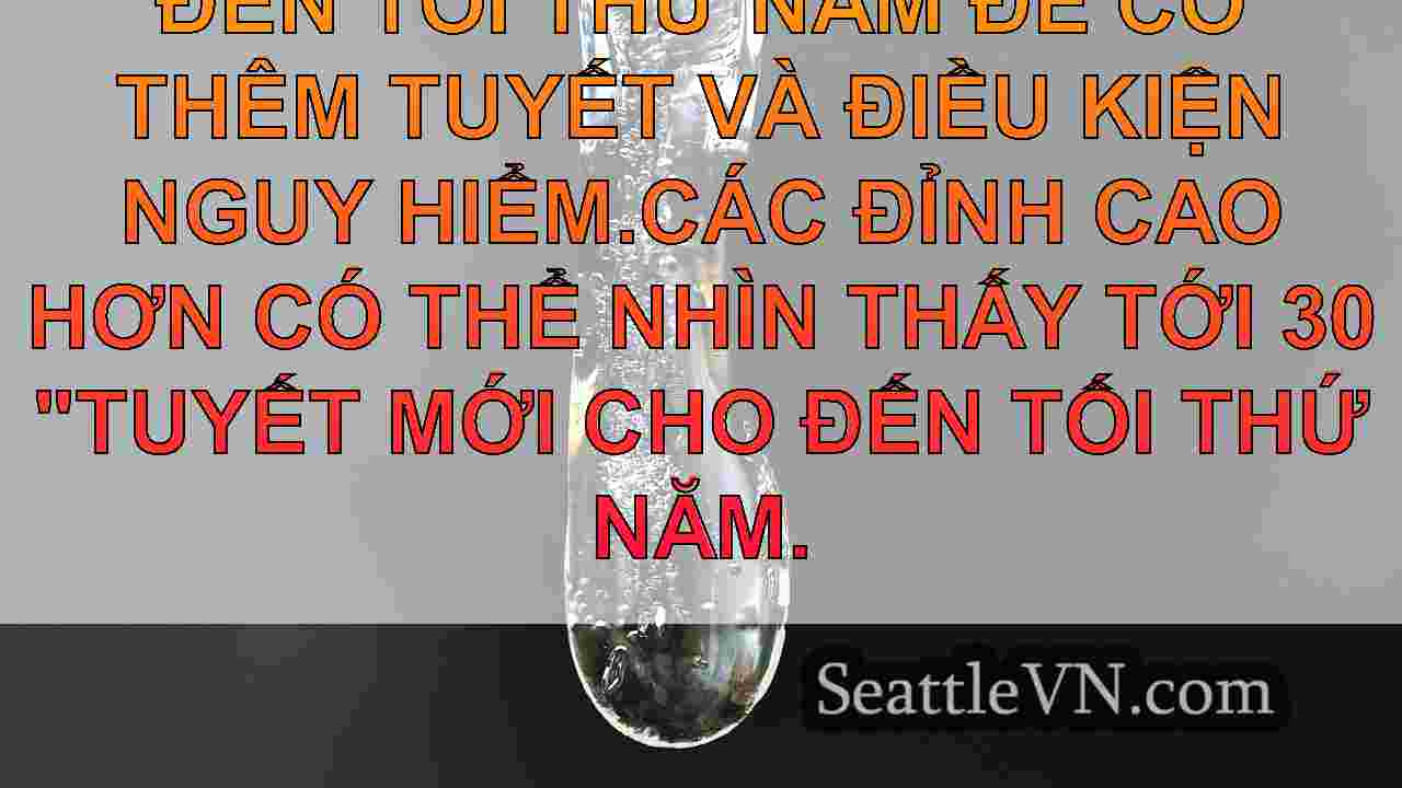 tin tức seattle SeattleVN