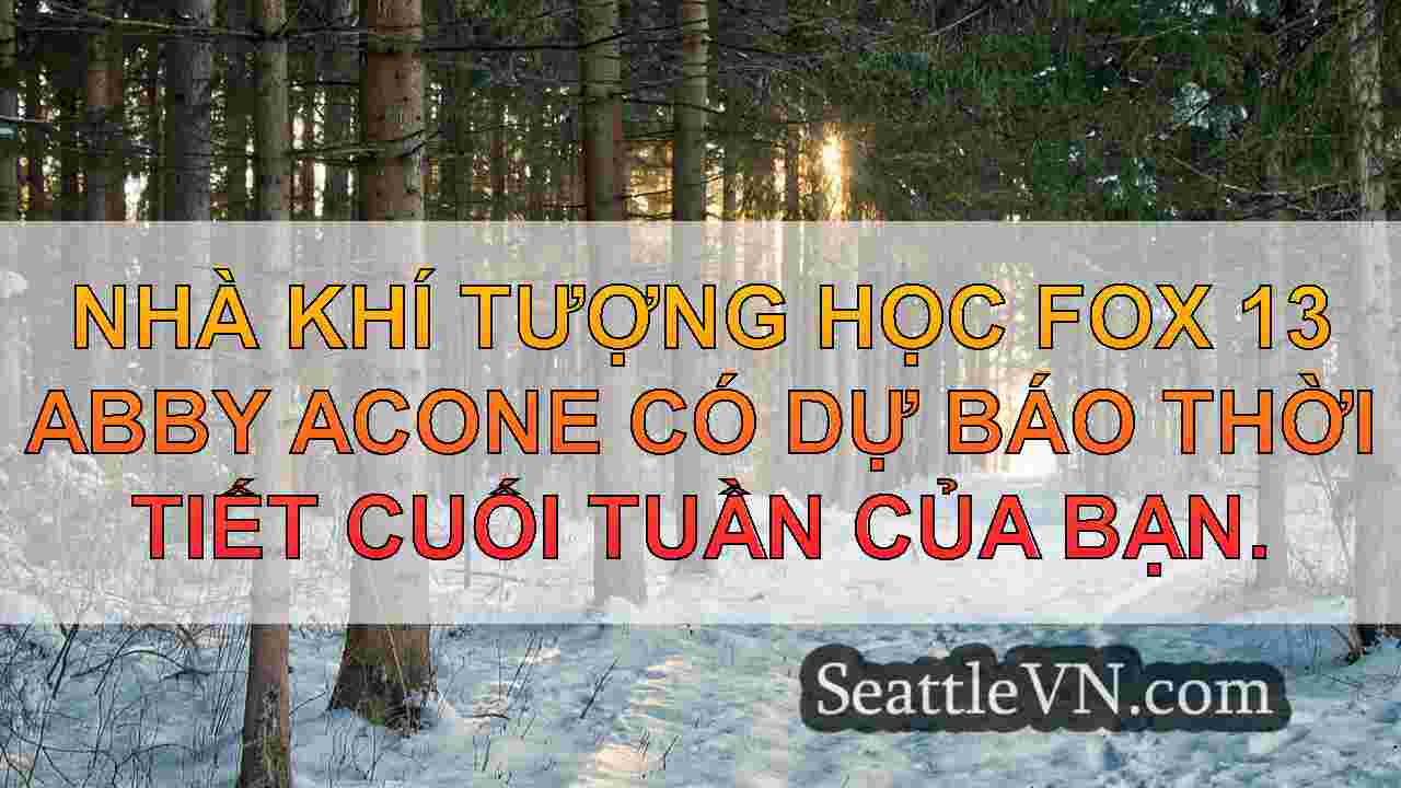 tin tức seattle SeattleVN