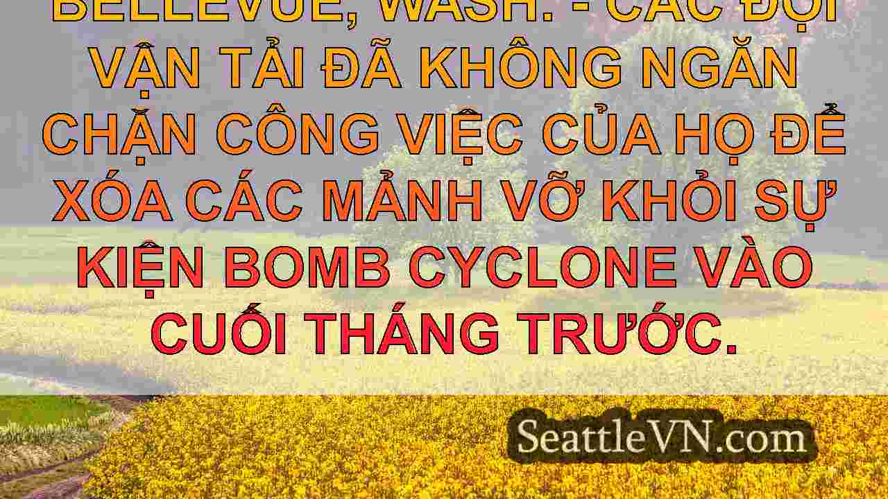 tin tức seattle SeattleVN
