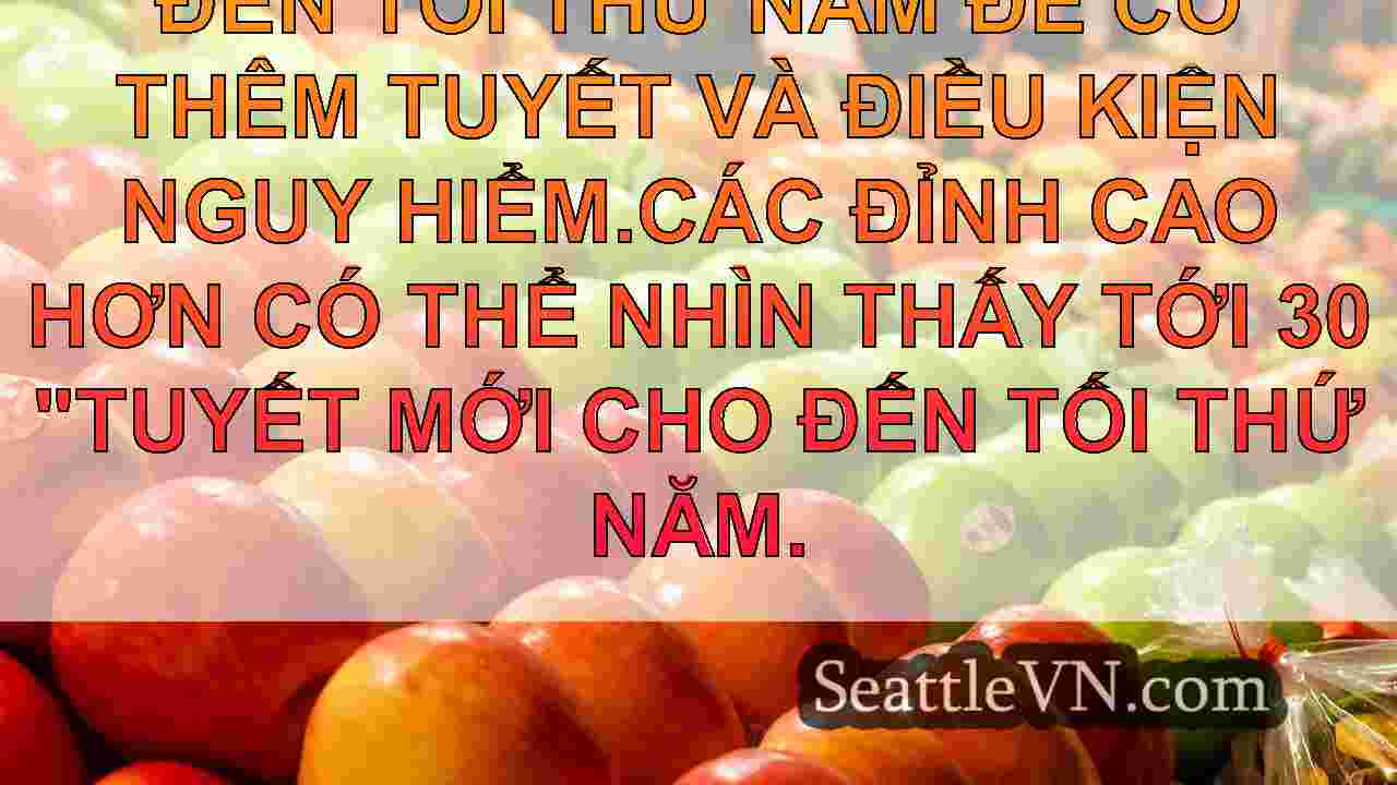 Seattle để xem gió bình tĩnh hơn vào