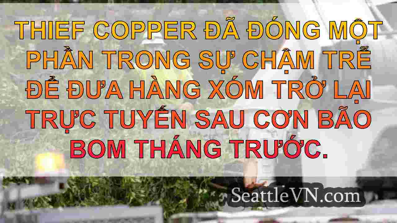 Các vụ trộm đồng một phần để đổ lỗi cho