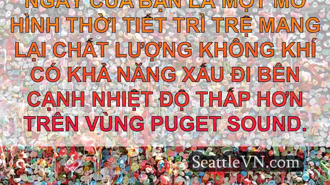Dự báo thời tiết khô, nắng và sương mù