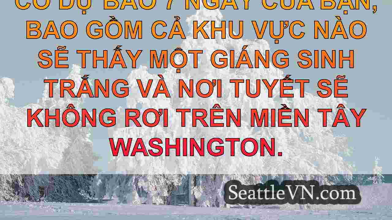 tin tức seattle SeattleVN
