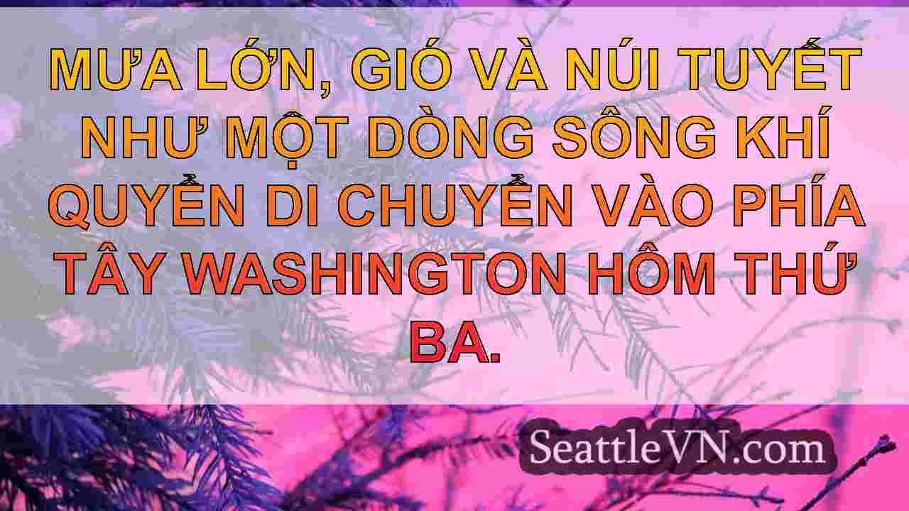 tin tức seattle SeattleVN