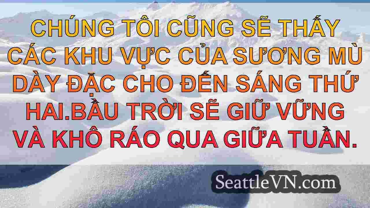 tin tức seattle SeattleVN