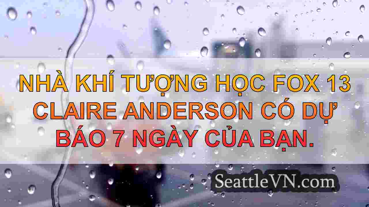 Seattle Weather: Một đêm lạnh lẽo khác