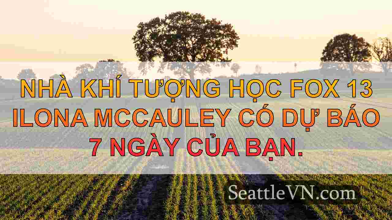 Seattle Weather: Tư vấn sương mù dày