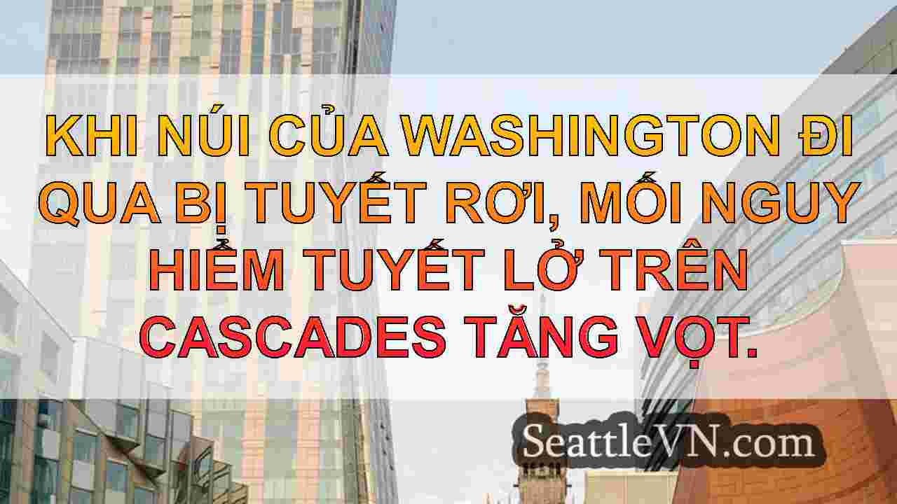 tin tức seattle SeattleVN
