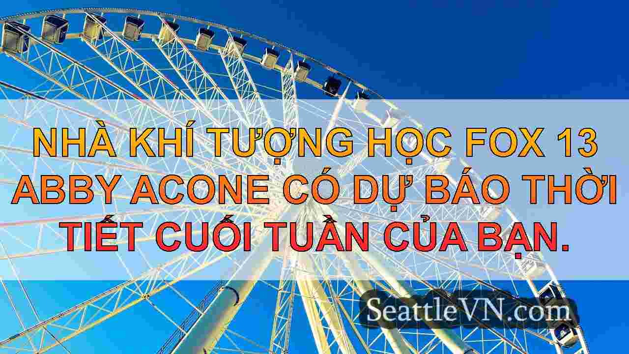 Thời tiết xám xịt, ẩm ướt và ảm đạm cho