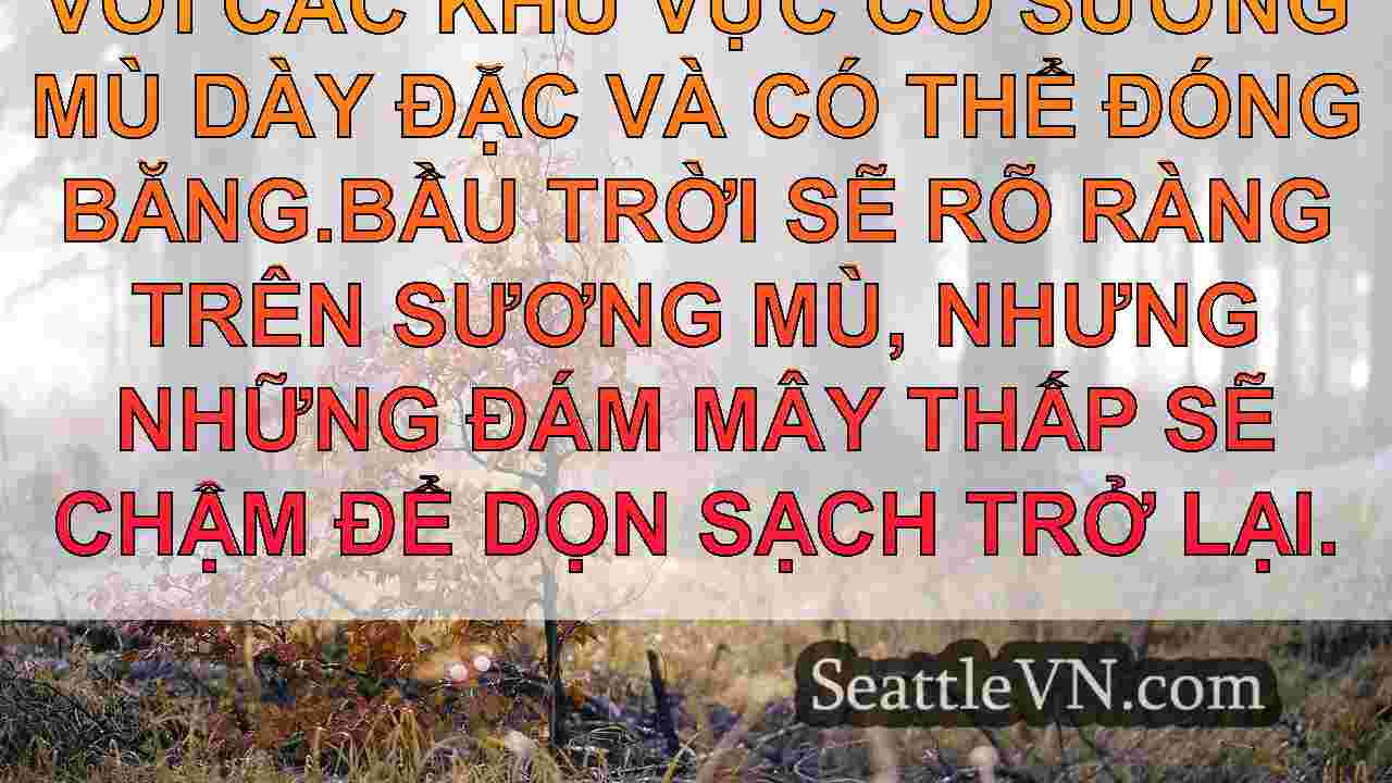 tin tức seattle SeattleVN