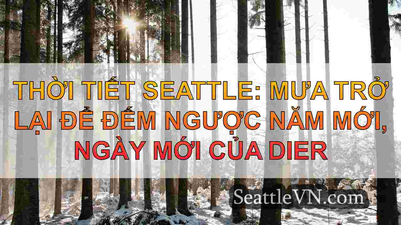 tin tức seattle SeattleVN