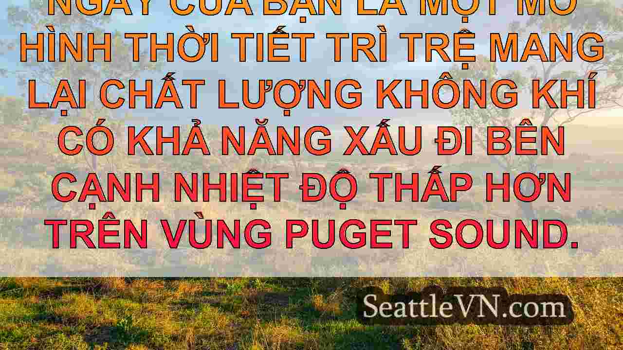 tin tức seattle SeattleVN