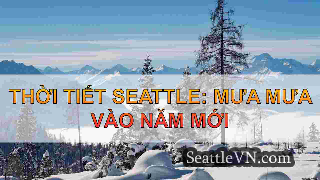 tin tức seattle SeattleVN